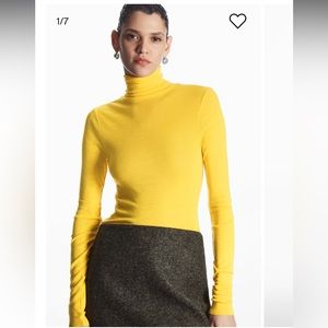 COS Turtleneck Merino Wool Long Sleeve Long Top N121-40